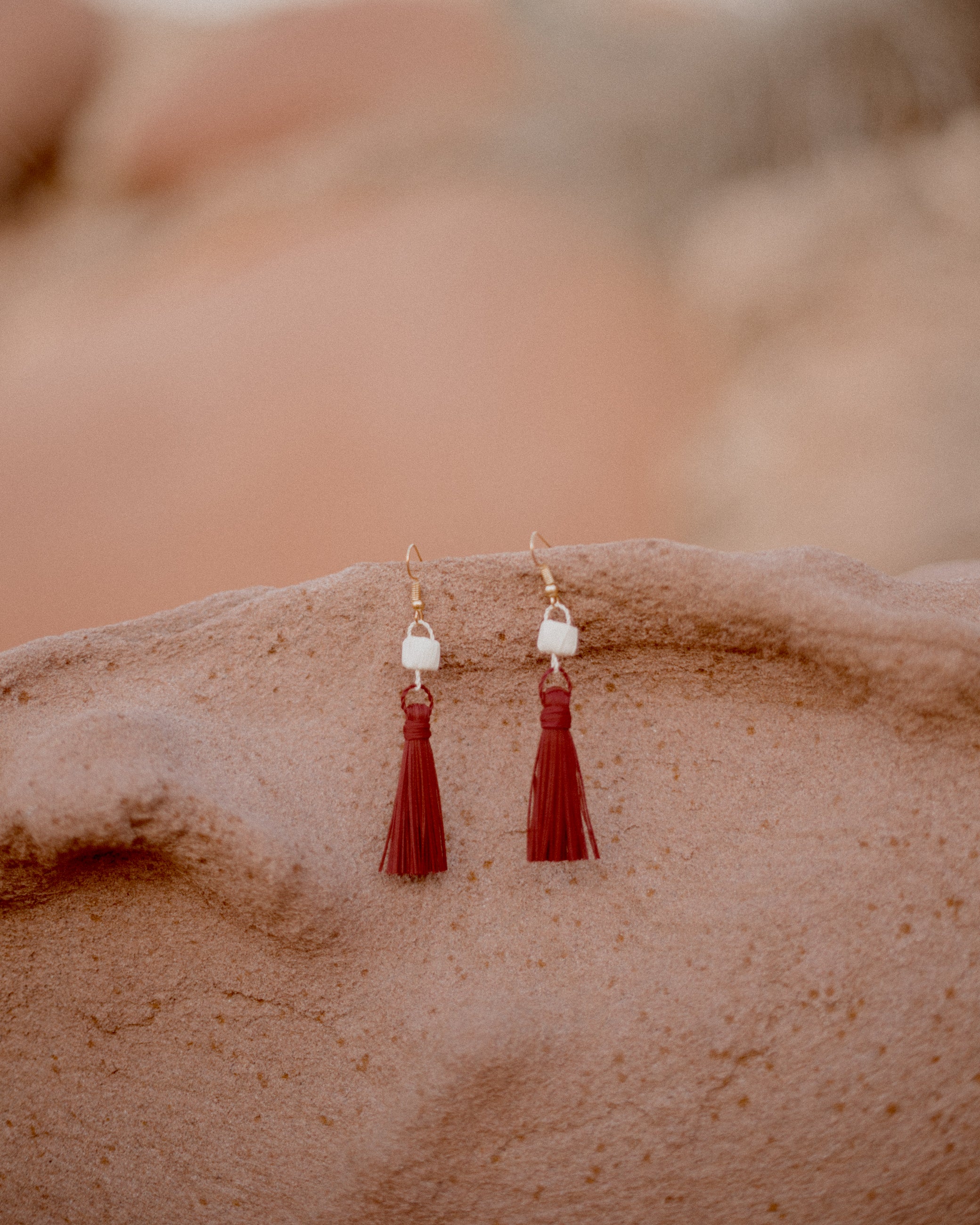 Pendientes Largos Rojo